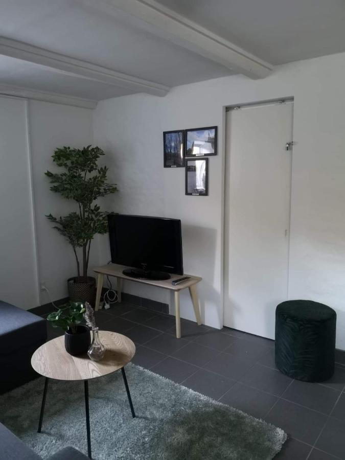 Spacious Cellar Apartment Hvidovre Exteriör bild